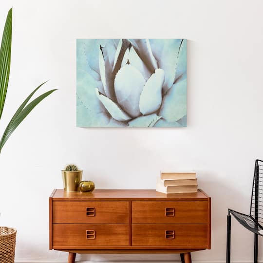 Green Succulent 20" x 16" Canvas Wall Art